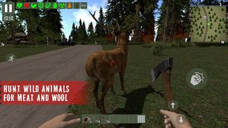 The Survivor: Rusty Forest - Screenshot 2