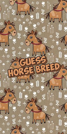 Guess the horse breed - Screenshot 1