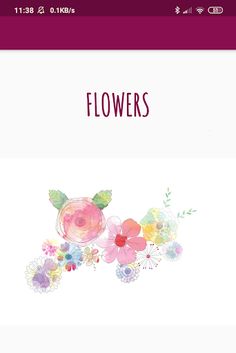 Flowers - Screenshot 2