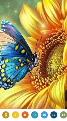 Butterfly Paint by Number Game - Screenshot 1