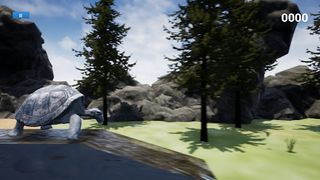 Galapagos Turtle Simulator - Screenshot 2