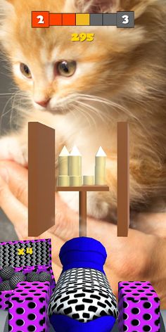 Cat Shooting Ball - Screenshot 2