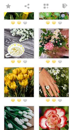 Jigsaw Flower & Plant Puzzles - Screenshot 3