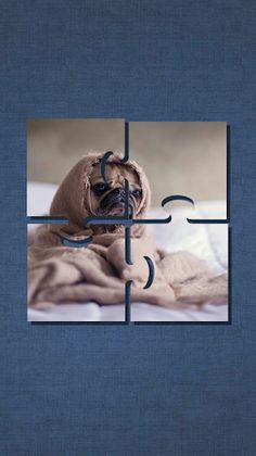 Cute Dog Puzzle - Screenshot 1