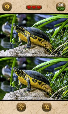 Find the differences - Screenshot 2