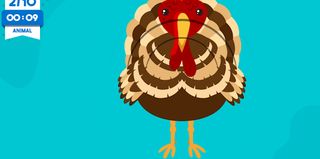 Circle Puzzle-Daily Art Relax - Screenshot 3