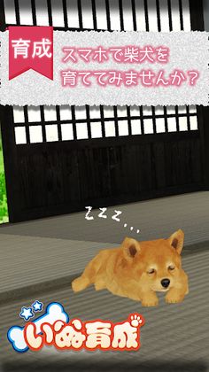 Shibainu Simulation Game 3D - Screenshot 1