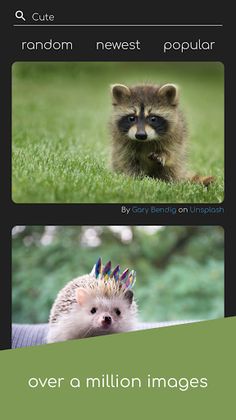 permu - between brainbreaker a - Screenshot 4