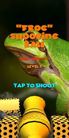 Frog Shooting Ball - Screenshot 1
