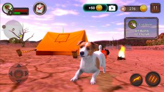 Jack Russell Terrier Simulator - Screenshot 1