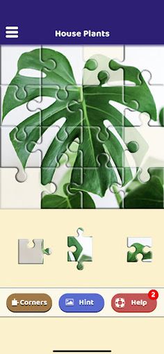 House Plants Puzzle - Screenshot 2