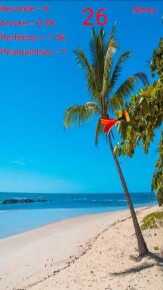 Petequinha - Screenshot 2