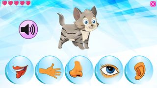 Secretul frunzei calatoare - Screenshot 3