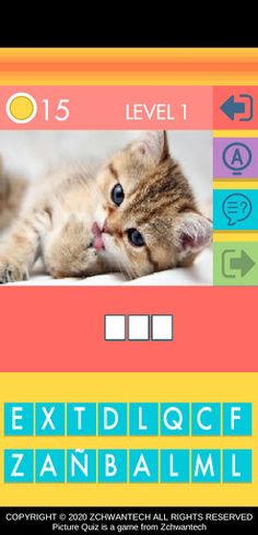 Picture Quiz - Screenshot 2