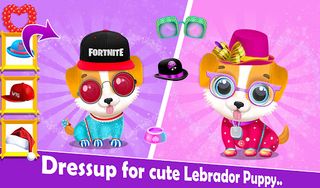 Labrador Puppy Pet DayCare - Screenshot 1