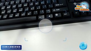 See Sea Alive - Screenshot 3