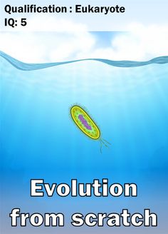 Clicker evolution - life simul - Screenshot 1