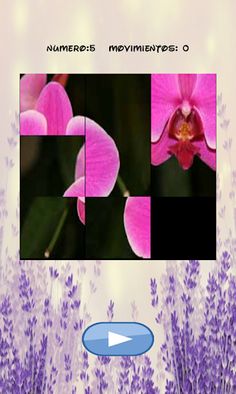 Flowers puzzle, one is hidden. - Screenshot 2