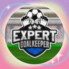 Expert Goalkeeper - Screenshot 1