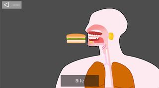 Digestive System - Screenshot 2