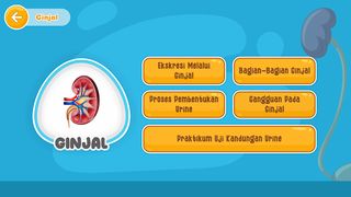 Virtual Lab Sistem Ekskresi - Screenshot 3