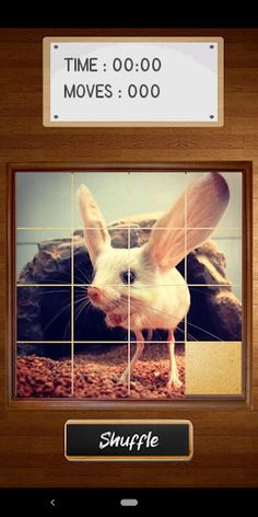 Master Slide Puzzle - Screenshot 2