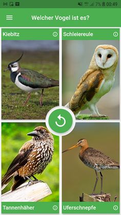 Bird Quiz - Lerne Vogelstimmen - Screenshot 1