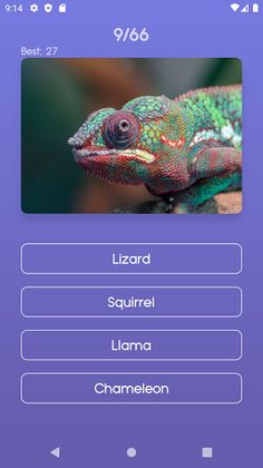 Animal Quiz - Screenshot 1