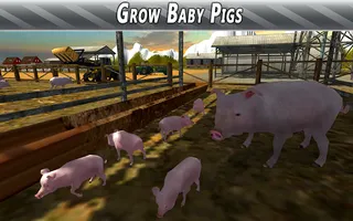 Euro Farm Simulator: Pigs - Screenshot 3