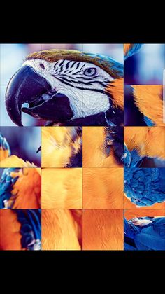 Pet World Puzzle : Animal Cros - Screenshot 2