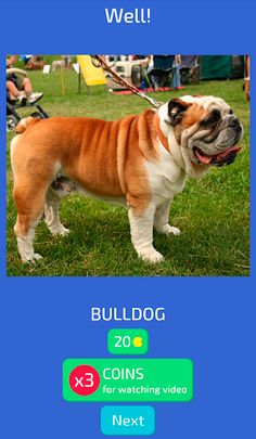 Dog Quiz - Guess the Breed! - Screenshot 4