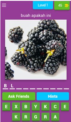 Game Puzzle Nama-nama Buah - Screenshot 1