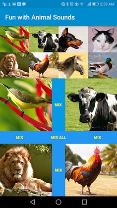 Fun with Animal Sounds - Screenshot 2