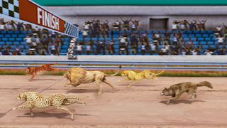 Wild Animal Race Horse Racing - Screenshot 2