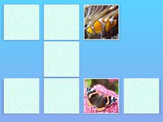 Animal Pairs - Screenshot 4