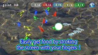 Arowana raising from fry - Screenshot 3