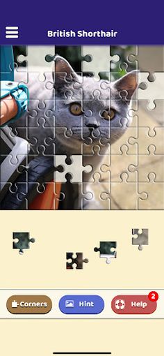 British Shorthair Puzzle - Screenshot 3