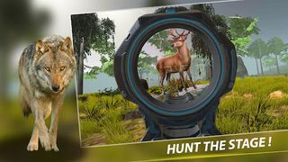 Wild Hunt - Animals Shooting - Screenshot 2