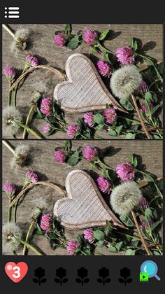 Finding the Difference Asia Tr - Screenshot 3