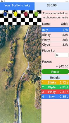 Turtle Race! - Screenshot 2