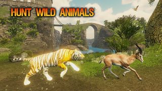 The Tiger - Animal Simulator - Screenshot 1