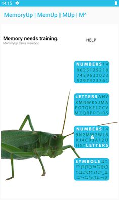 Memory Up - Screenshot 1