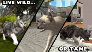 Ultimate Cat Simulator - Screenshot 1