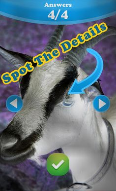 Train Your Memory - Screenshot 1