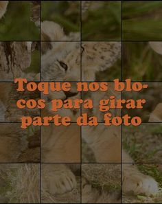 Quebra-Cabeça de Animais - Screenshot 1