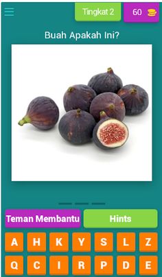 Tebak Gambar Buah V.2 - Screenshot 3