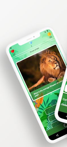 Animal Quiz - Screenshot 1