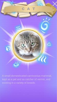 Book-Man - Screenshot 2