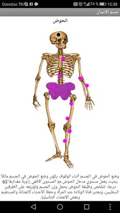 جسم الانسان - Screenshot 4