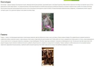 Редкие кошки - Screenshot 3